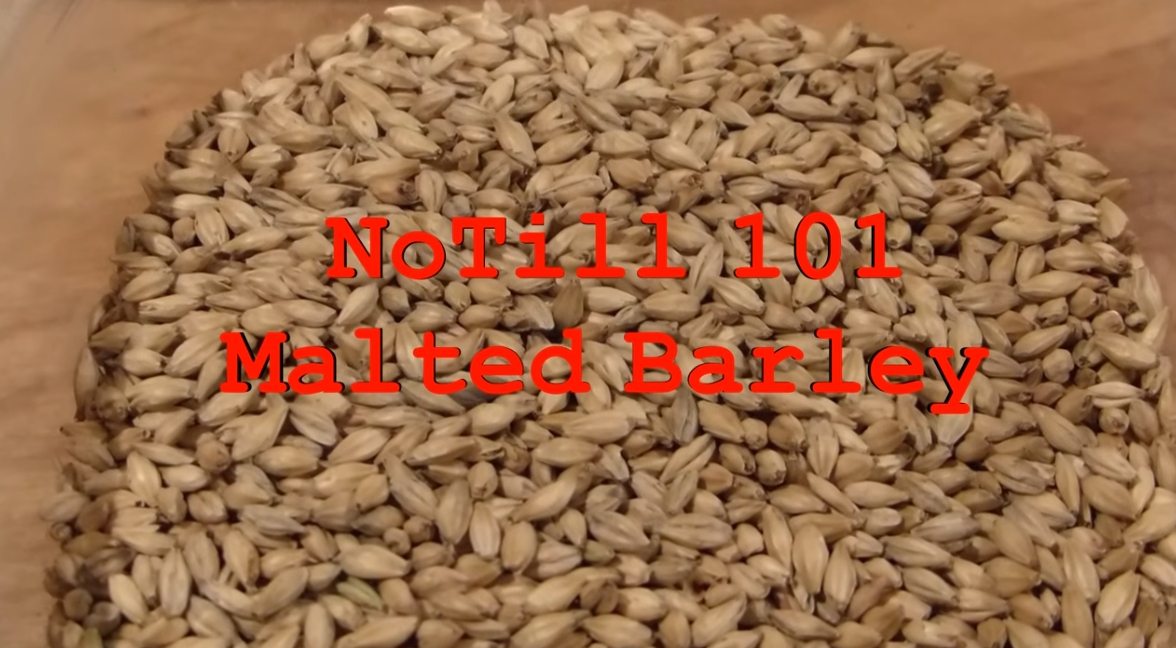 Malted Barley Tea with BG420