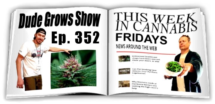 Dude Grows Show 352 Growing Marijuana This Week In Cannabis