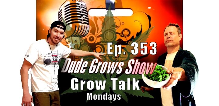 Dude Grows Show 353 Growing Marijuana Grow Talk