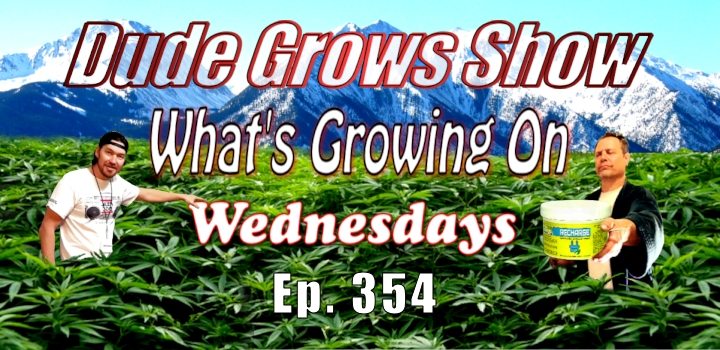 Dude Grows Show 354 Growing Marijuana What’s Growing On?