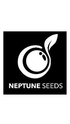 Neptune Seedbank