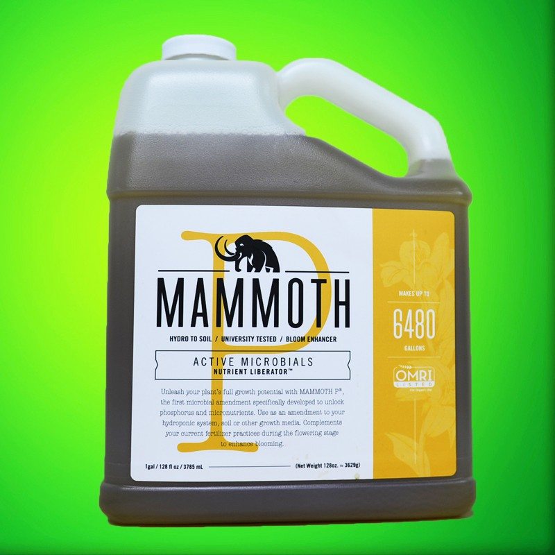 Mammoth P explained