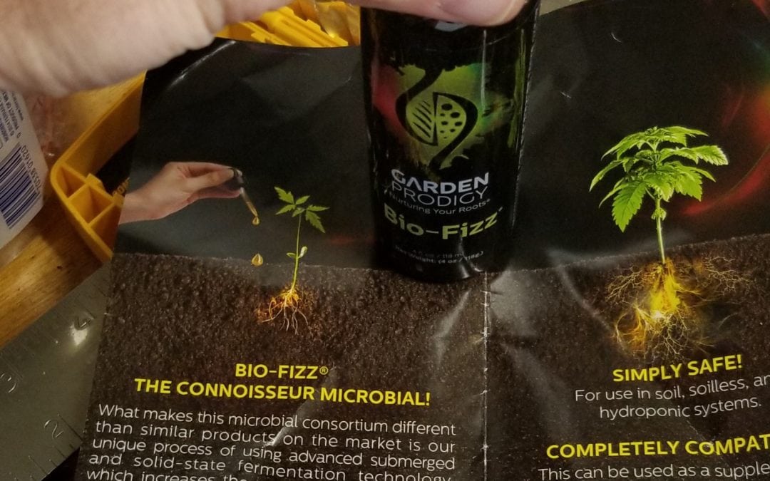 Garden Prodigy Bio-Fizz