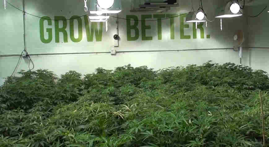 Check out a Commercial Veg Room