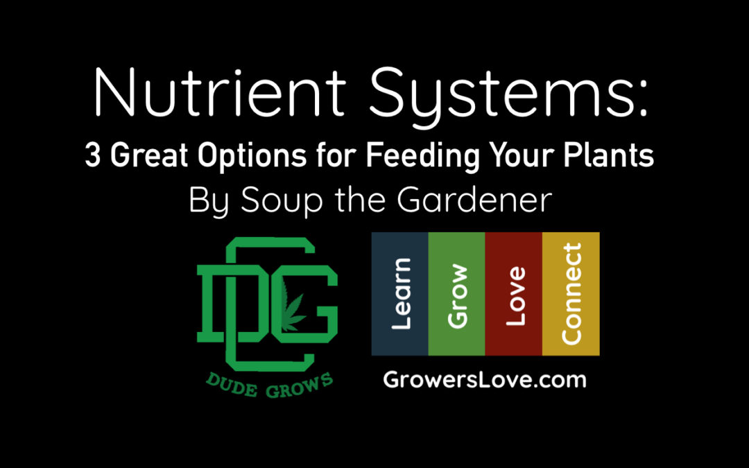 Nutrient Systems: Three Great Options for Feeding Your Plants