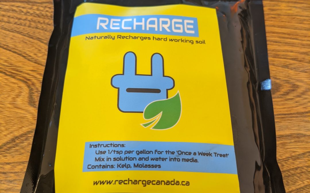 How to import Recharge to Canada
