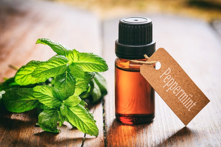 Peppermint Oil to Mask Weed Smell