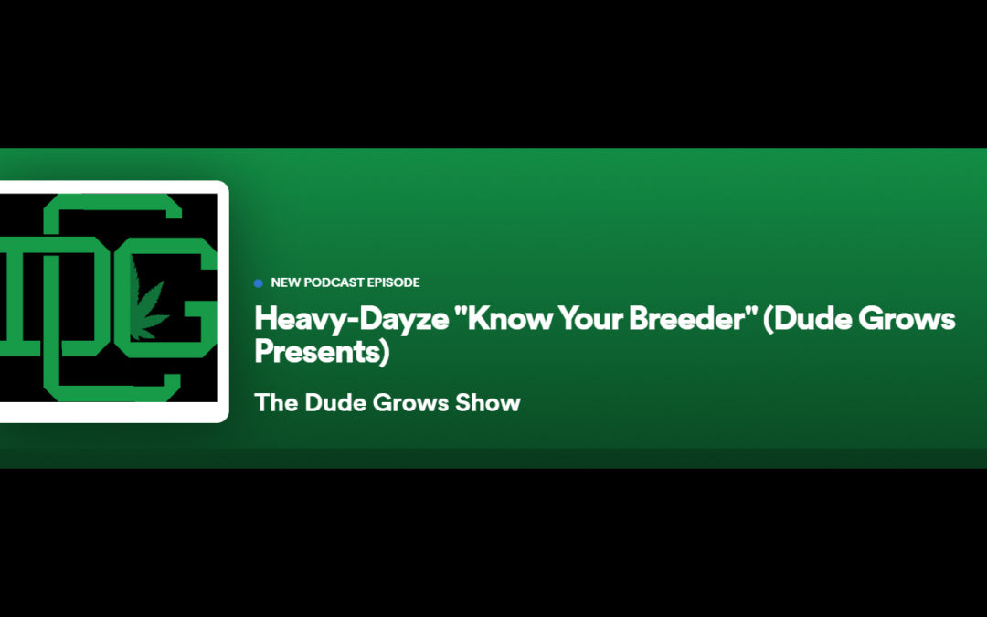 Dude Grows Show KNOW YOUR BREEDER: Heavy Dayze