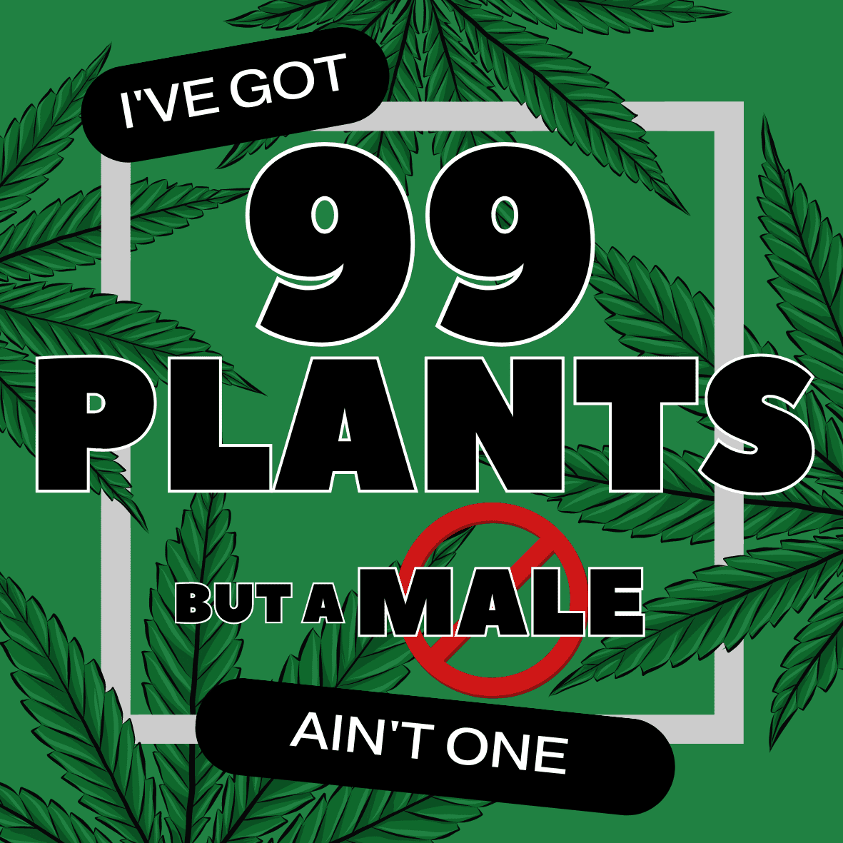I Got 99 plants