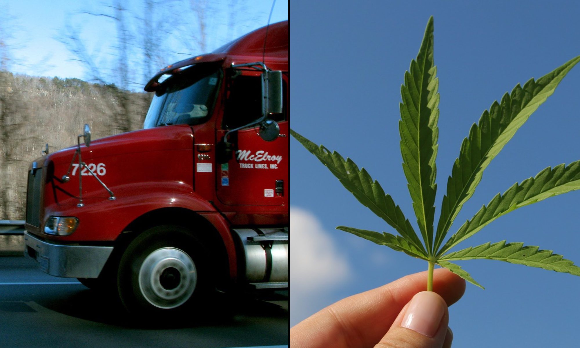 Truckers and weed