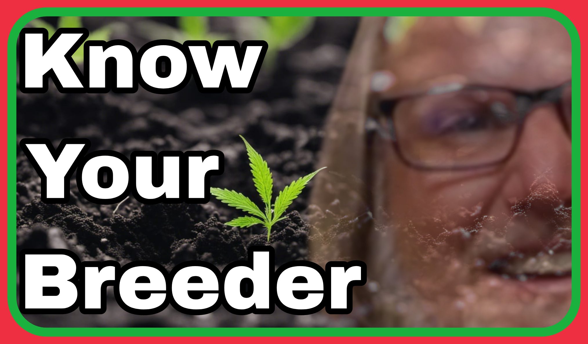 Dude Grows Show KNOW YOUR BREEDER: Workingmanseeds