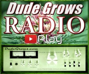 Dude Grows Radio