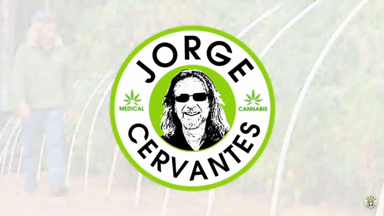 Jorge Cervantes: Oregon Sungrown Growers Guild Big Marijuana Plants