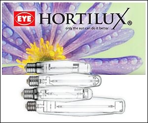 Hortilux Bulbs