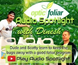 Optic Foliar Audio Spotlight