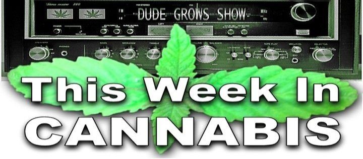 This Week in Cannabis Playlist